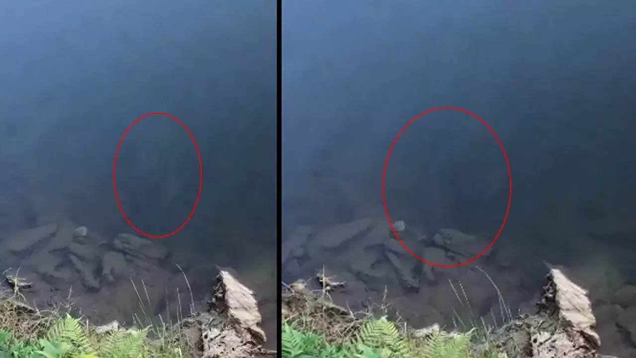 Viral Video: చేపల వేటకు వెళ్లిన వ్యక్తికి షాక్ – నీటిలో కనిపించింది చూసి అవాక్కు