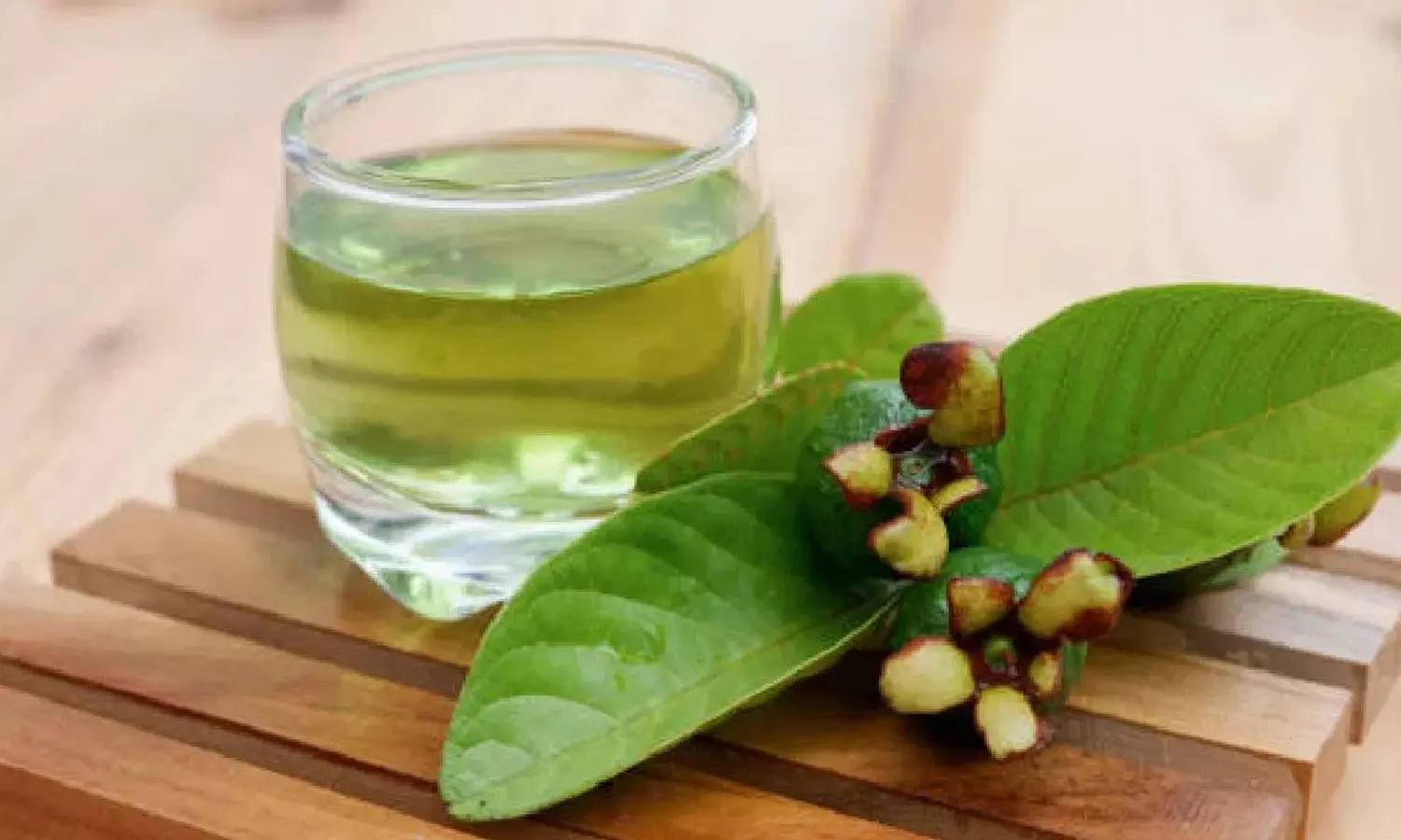 Guava Leaf Tea A Powerhouse of Health Benefits