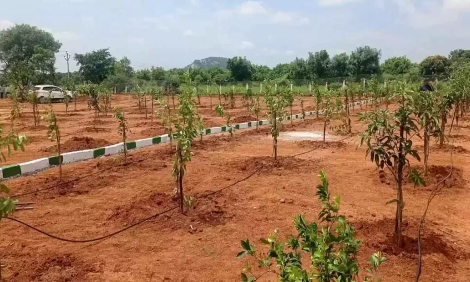 Kapil Farms : హైదరాబాద్లో ఫామ్ల్యాండ్ పెట్టుబడుల జోరు.. ఆకాశాన్నంటుతున్న భూముల విలువ Kapil Farms : హైదరాబాద్లో ఫామ్ల్యాండ్ పెట్టుబడుల జోరు.. ఆకాశాన్నంటుతున్న భూముల విలువ
