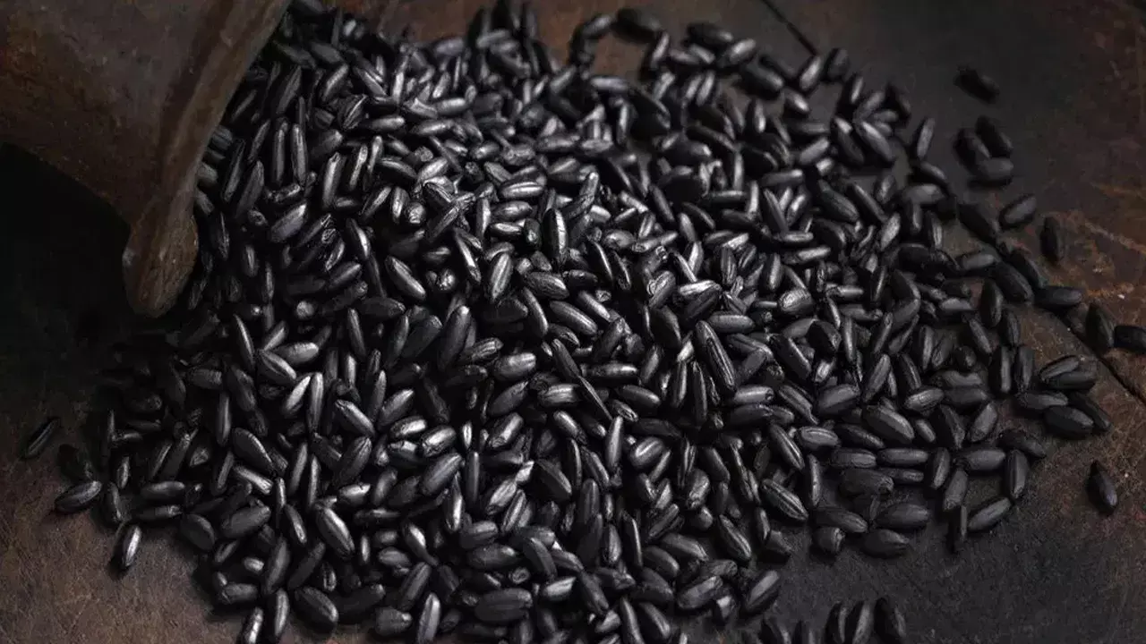 Black Foods: నల్లగా ఉన్నాయంటే తక్కువ అంచనా వేయొద్దు.. ఆరోగ్యానికి సూపర్ హీరోలు ఈ ఫుడ్స్! Black Foods: నల్లగా ఉన్నాయంటే తక్కువ అంచనా వేయొద్దు.. ఆరోగ్యానికి సూపర్ హీరోలు ఈ ఫుడ్స్!