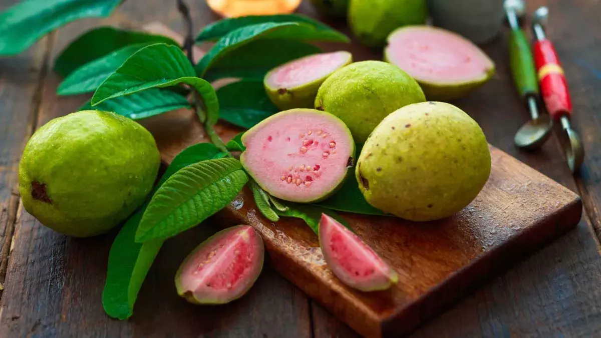 Guava: వీళ్లు.. పొరపాటున కూడా తినకూడని పండు!