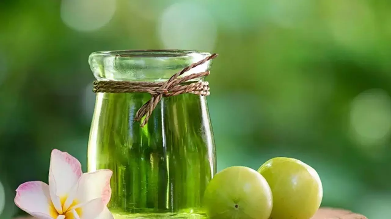 Amla for Hair Growth: ఇలా వాడితే.. జుట్టు ఎప్పటికప్పుడు బలంగా, పొడవుగా పెరుగుతుంది! Amla for Hair Growth: ఇలా వాడితే.. జుట్టు ఎప్పటికప్పుడు బలంగా, పొడవుగా పెరుగుతుంది!