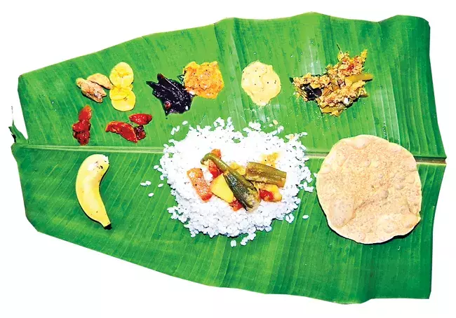 Health Myths: పెరుగన్నంతో చేప.. పొట్లకాయతో గుడ్డు కలిపి తింటే నిజంగా హానికరమేనా? Health Myths: పెరుగన్నంతో చేప.. పొట్లకాయతో గుడ్డు కలిపి తింటే నిజంగా హానికరమేనా?