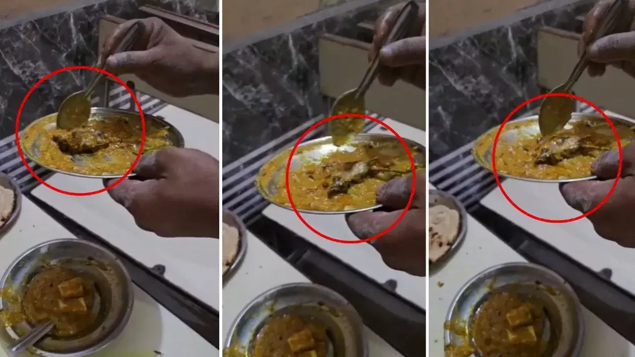 Viral: పన్నీర్ కర్రీలో చనిపోయిన ఎలుక..! సగం తిన్నాక గమనించిన కస్టమర్ షాక్ Viral: పన్నీర్ కర్రీలో చనిపోయిన ఎలుక..! సగం తిన్నాక గమనించిన కస్టమర్ షాక్