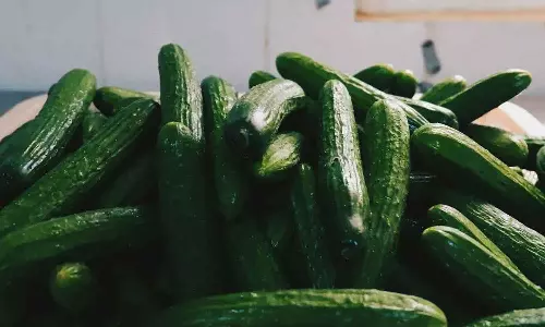 Urinary Problems: మూత్ర సమస్యలకు పరిష్కారం.. కిడ్నీలు హెల్దీగా ఉండాలంటే ఈ కూరగాయను తినండి!