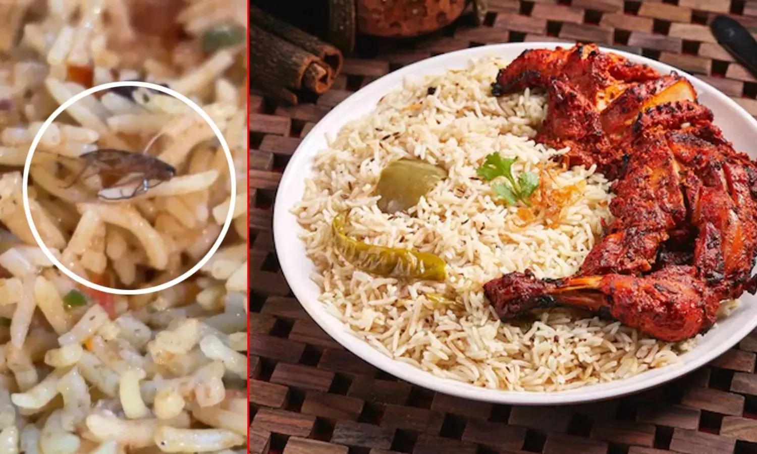 Chicken Biryani: బిర్యానీ తింటుండగా షాకింగ్ సీన్.. ప్లేట్‌లో కనిపించింది చూసి..