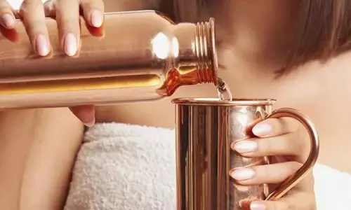 Drinking Water : ఏ కాలంలో ఏ పాత్రలో నీరు తాగాలి? ఈ చిట్కాలు పాటిస్తే ఆరోగ్యానికి మంచిది!