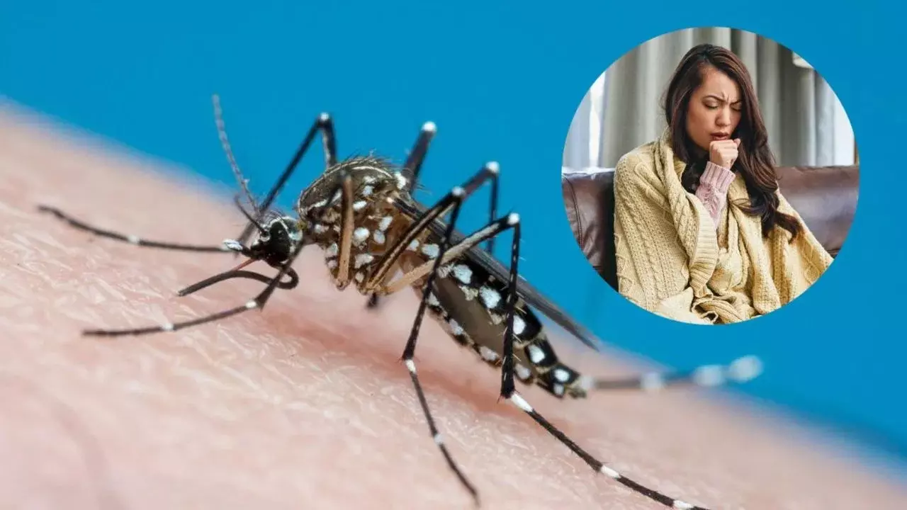 Viral Fever : మలేరియా, ఫ్లూ.. రెండూ ఒకేలా ఉంటాయా? లక్షణాల్లో తేడాలు, నివారణ చర్యలు ఇవే