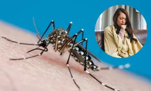 Viral Fever : మలేరియా, ఫ్లూ.. రెండూ ఒకేలా ఉంటాయా? లక్షణాల్లో తేడాలు, నివారణ చర్యలు ఇవే Viral Fever : మలేరియా, ఫ్లూ.. రెండూ ఒకేలా ఉంటాయా? లక్షణాల్లో తేడాలు, నివారణ చర్యలు ఇవే