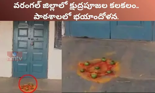 వరంగల్ జిల్లాలో క్షుద్రపూజల కలకలం.. వరంగల్ జిల్లాలో క్షుద్రపూజల కలకలం..