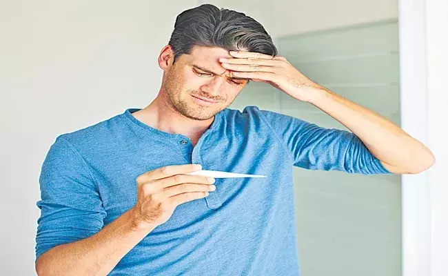 Flu Prevention Tips: ఈ ఫ్లూ సీజన్‌లో జ్వరానికి మందులేంటి? ఇంటి చిట్కాలు పని చేస్తాయా?