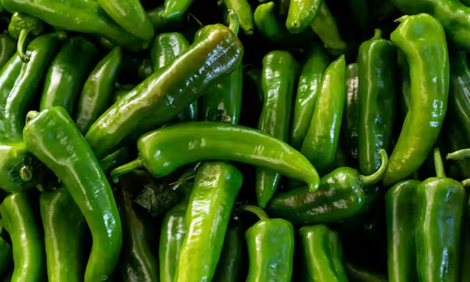 Green Chilies Green Chilies