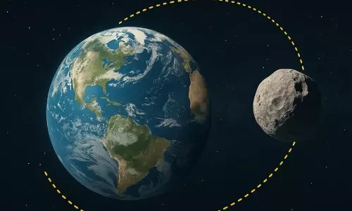 Quasi-Moon Quasi-Moon