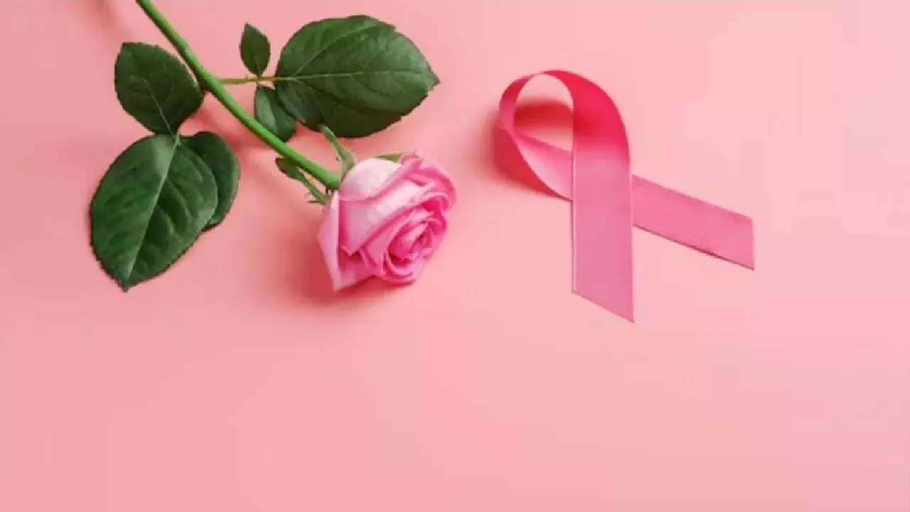 World Rose Day 2025: వరల్డ్ రోజ్ డే అంటే లవర్స్ డే కాదు.. మరి ఎవరి కోసమో తెలుసా ?