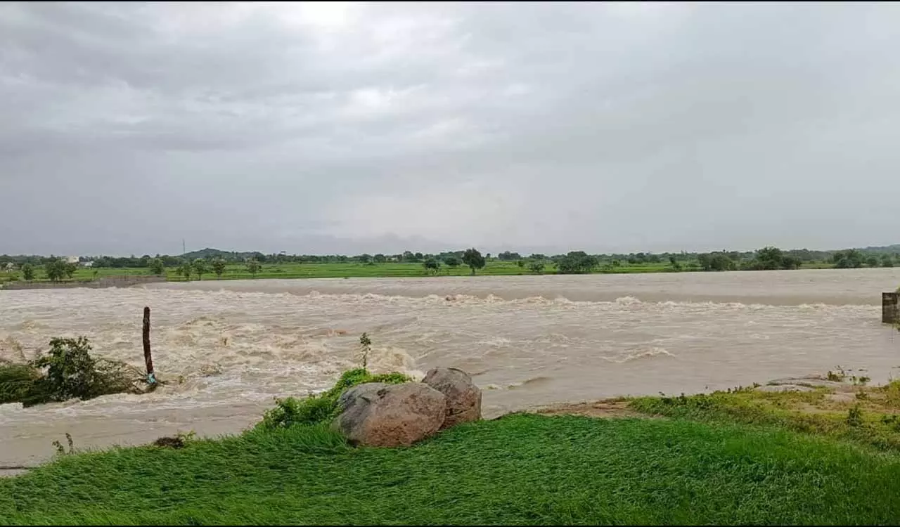 Manjeera Floods: నిజామాబాద్‌లో దంచికొడుతున్న వర్షాలు మంజీరా ఉగ్ర రూపం