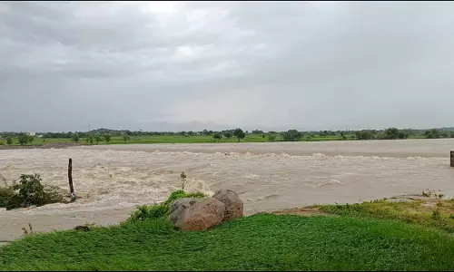 Manjeera Floods: నిజామాబాద్‌లో దంచికొడుతున్న వర్షాలు మంజీరా ఉగ్ర రూపం