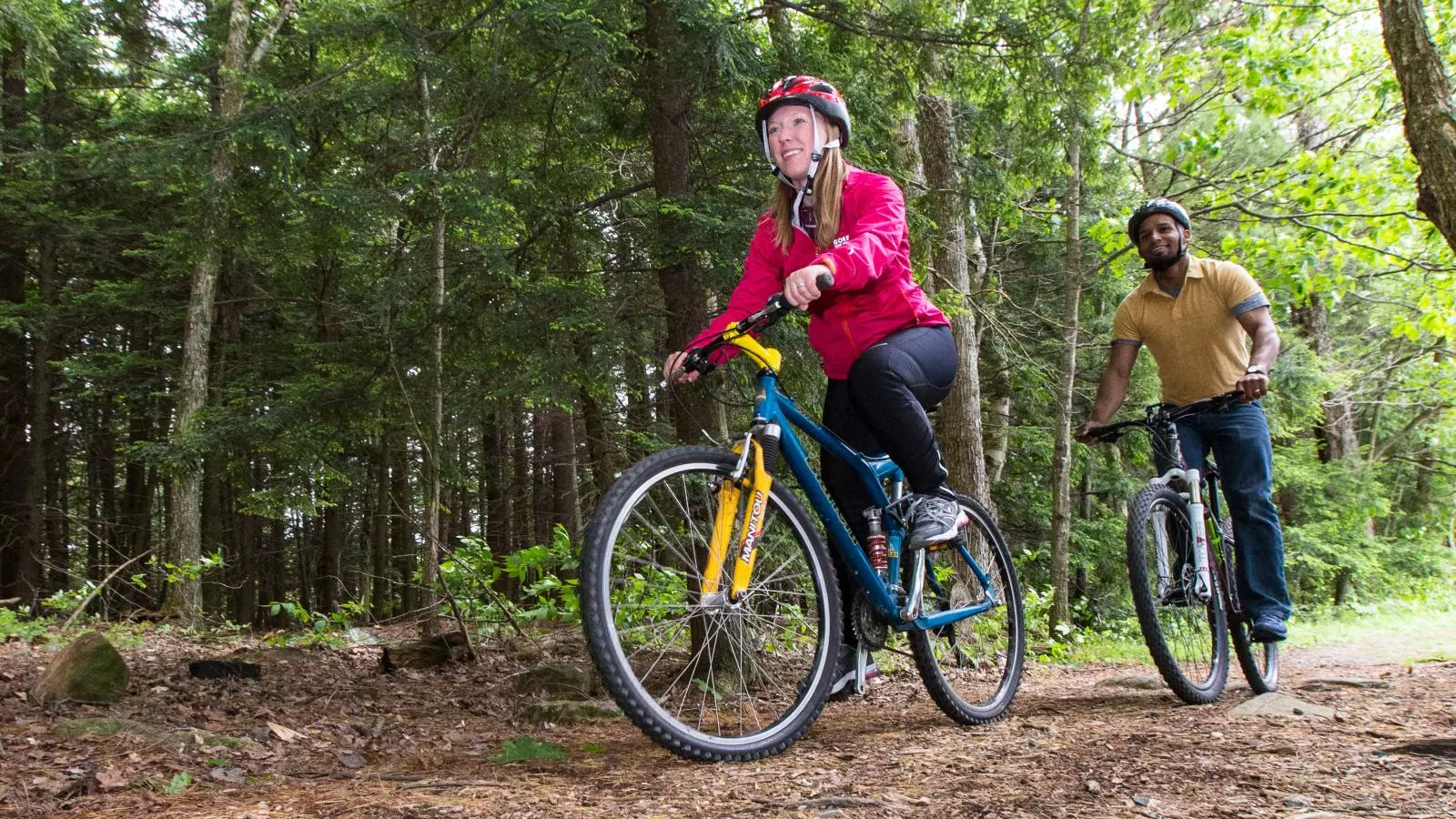 Cycling : సైకిల్ తొక్కితే సగం రోగాలు పోతాయ్