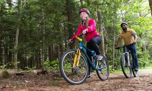 Cycling : సైకిల్ తొక్కితే సగం రోగాలు పోతాయ్ Cycling : సైకిల్ తొక్కితే సగం రోగాలు పోతాయ్