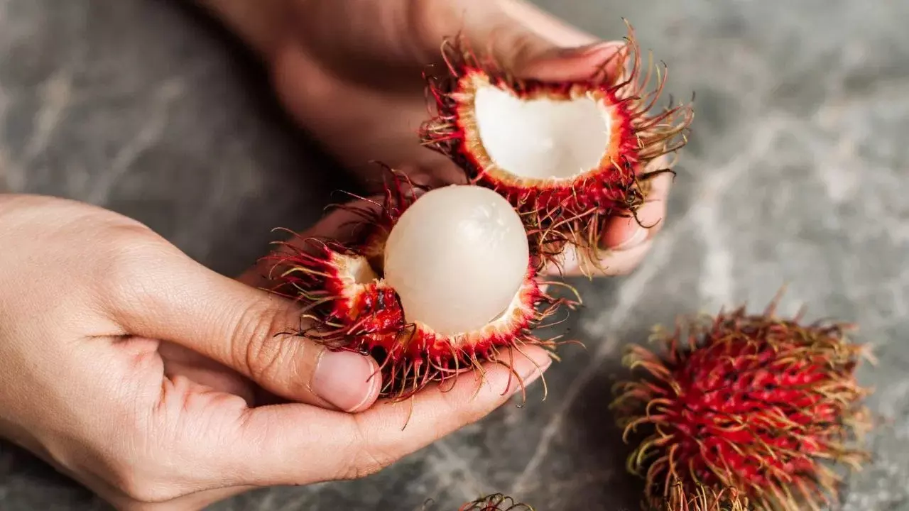 Cancer : ఏంటి ఈ పండుతో క్యాన్సర్ తగ్గుతుందా.. ఎక్కడ దొరుకుతుందో తెలుసా ?