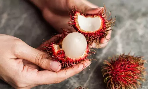 Cancer : ఏంటి ఈ పండుతో క్యాన్సర్ తగ్గుతుందా.. ఎక్కడ దొరుకుతుందో తెలుసా ? Cancer : ఏంటి ఈ పండుతో క్యాన్సర్ తగ్గుతుందా.. ఎక్కడ దొరుకుతుందో తెలుసా ?