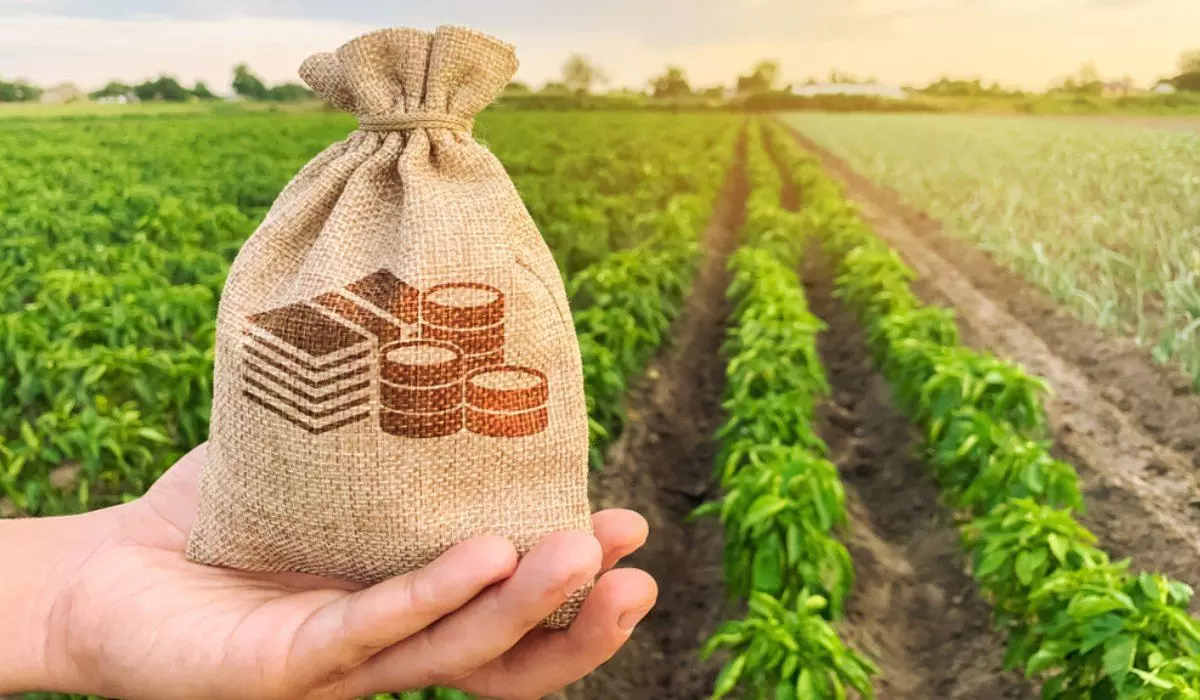 Good News for Farmers on Diwali: PM Kisan Funds Likely to be Credited Soon Good News for Farmers on Diwali: PM Kisan Funds Likely to be Credited Soon