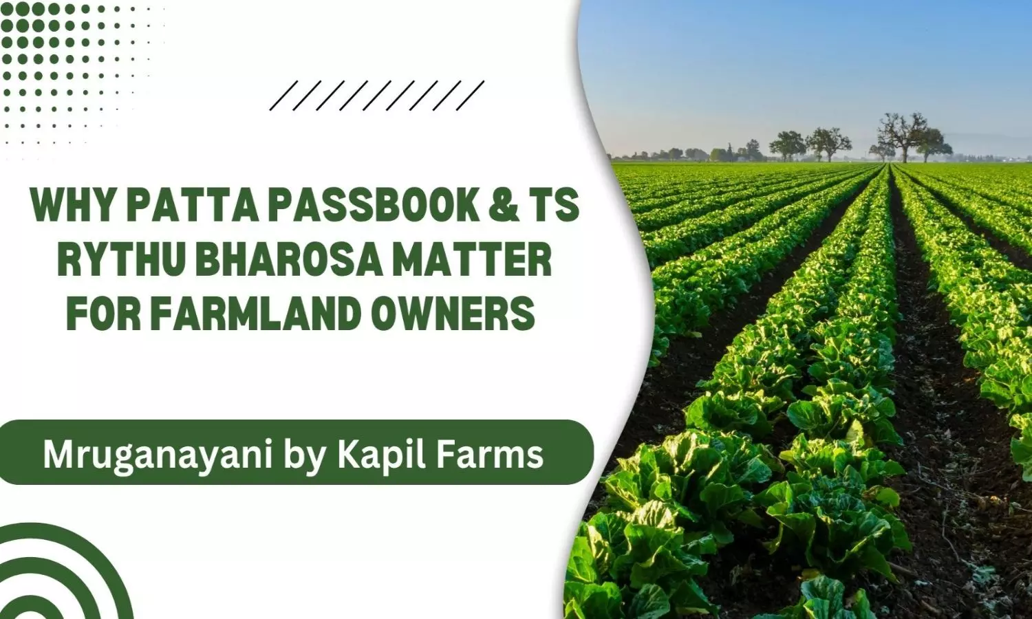 Kapil Farms: భూమిపై పెట్టుబడి, జీవితానికి భరోసా.. తెలంగాణలో ఫామ్‌ల్యాండ్‌ ఎందుకంత స్మార్ట్ ఇన్వెస్ట్‌మెంట్?