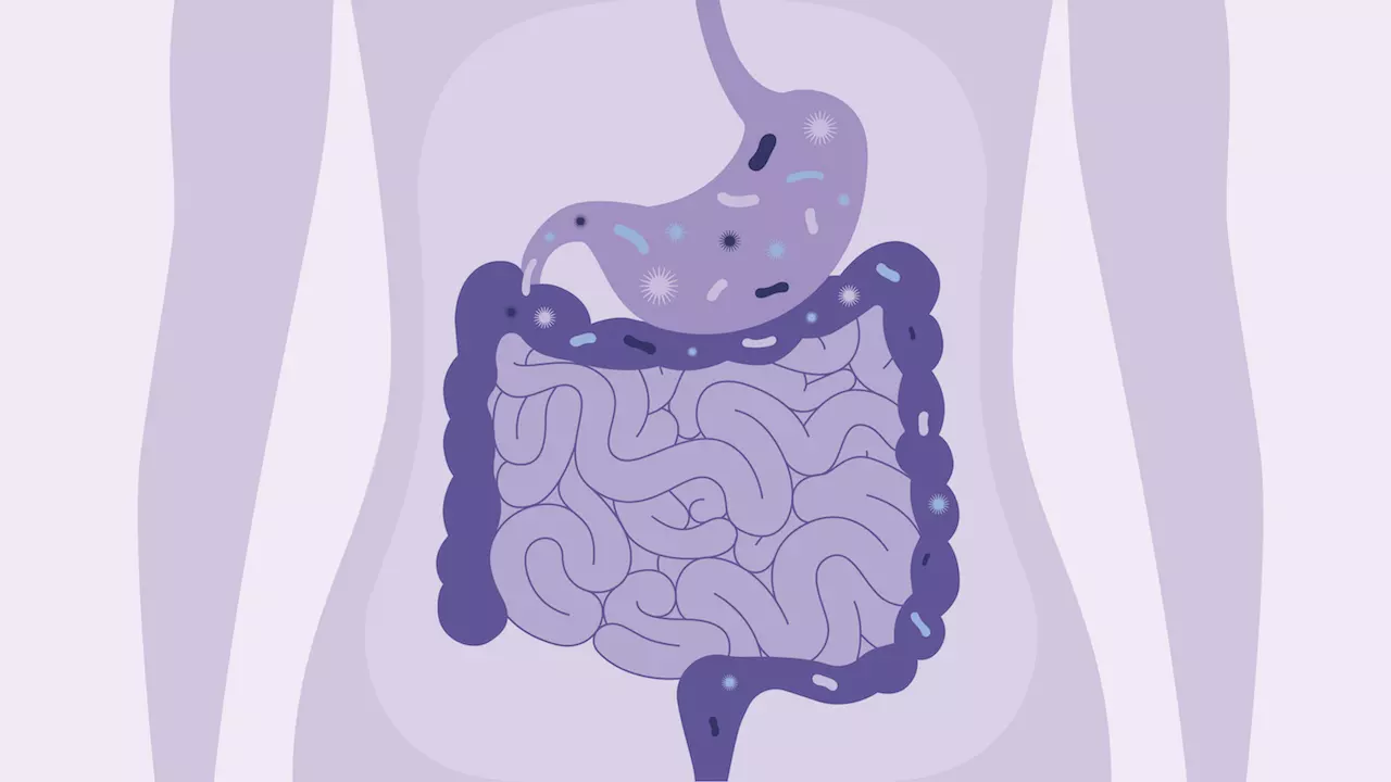 Probiotic Therapy: ప్రొబయాటిక్ థెరపీ గురించి తెలుసా? Probiotic Therapy: ప్రొబయాటిక్ థెరపీ గురించి తెలుసా?