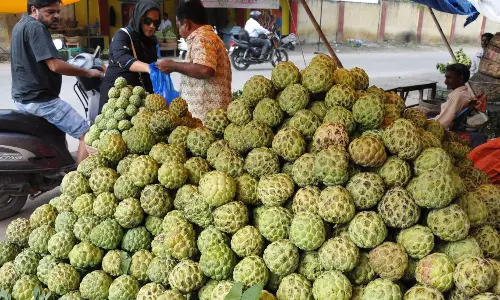 Custard Apple: ఈ సమస్య ఉన్నవాళ్లు సీతాఫలం తింటే ఇక అంతే..
