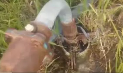 Warangal: 15 ఏళ్లనాటి బోరు నుంచి.. దానంతట అదే పైకి ఉబికి వస్తున్న నీరు