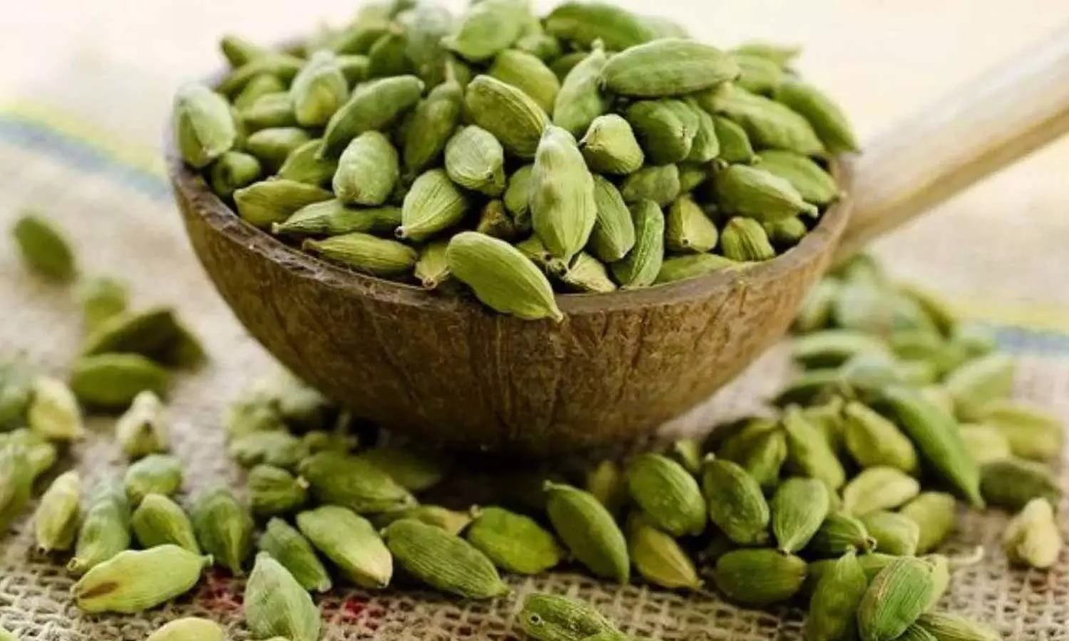 Cardamom Cardamom