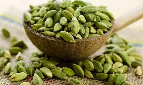 Cardamom