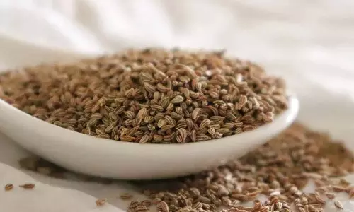 Carom Seeds Carom Seeds