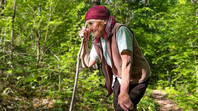 మన్యంలో 95 ఏళ్లలో కుటుంబ బాధ్యతలు మోస్తున్న బామ్మ మన్యంలో 95 ఏళ్లలో కుటుంబ బాధ్యతలు మోస్తున్న బామ్మ