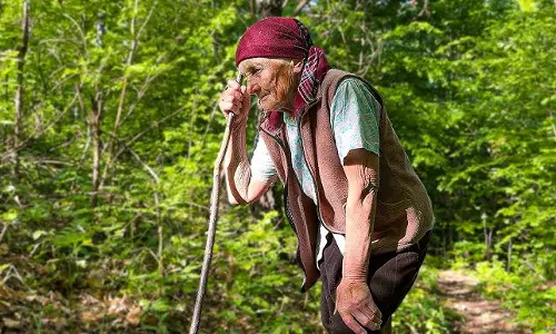 మన్యంలో 95 ఏళ్లలో కుటుంబ బాధ్యతలు మోస్తున్న బామ్మ మన్యంలో 95 ఏళ్లలో కుటుంబ బాధ్యతలు మోస్తున్న బామ్మ