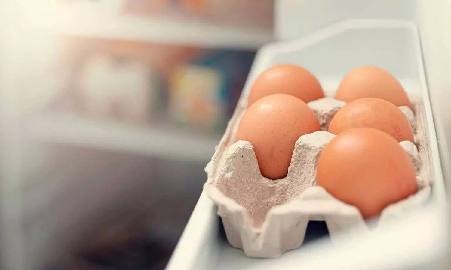 Eggs in the Fridge Eggs in the Fridge