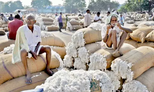 ఆదిలాబాద్ జిల్లాలో పత్తి రైతుల ఆందోళన