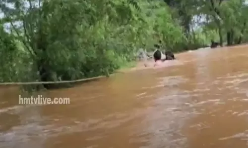 Prakasam Floods: వాగులో కొట్టుకుపోతున్న వ్యక్తిని రక్షించిన పోలీసులు Prakasam Floods: వాగులో కొట్టుకుపోతున్న వ్యక్తిని రక్షించిన పోలీసులు