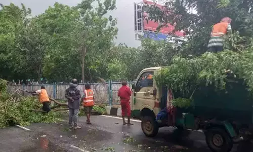 గుంటూరు జిల్లాలో మొంథా తుఫాన్ ఎఫెక్ట్... రహదారులపై చెట్లు, మునిగిన పంటలు