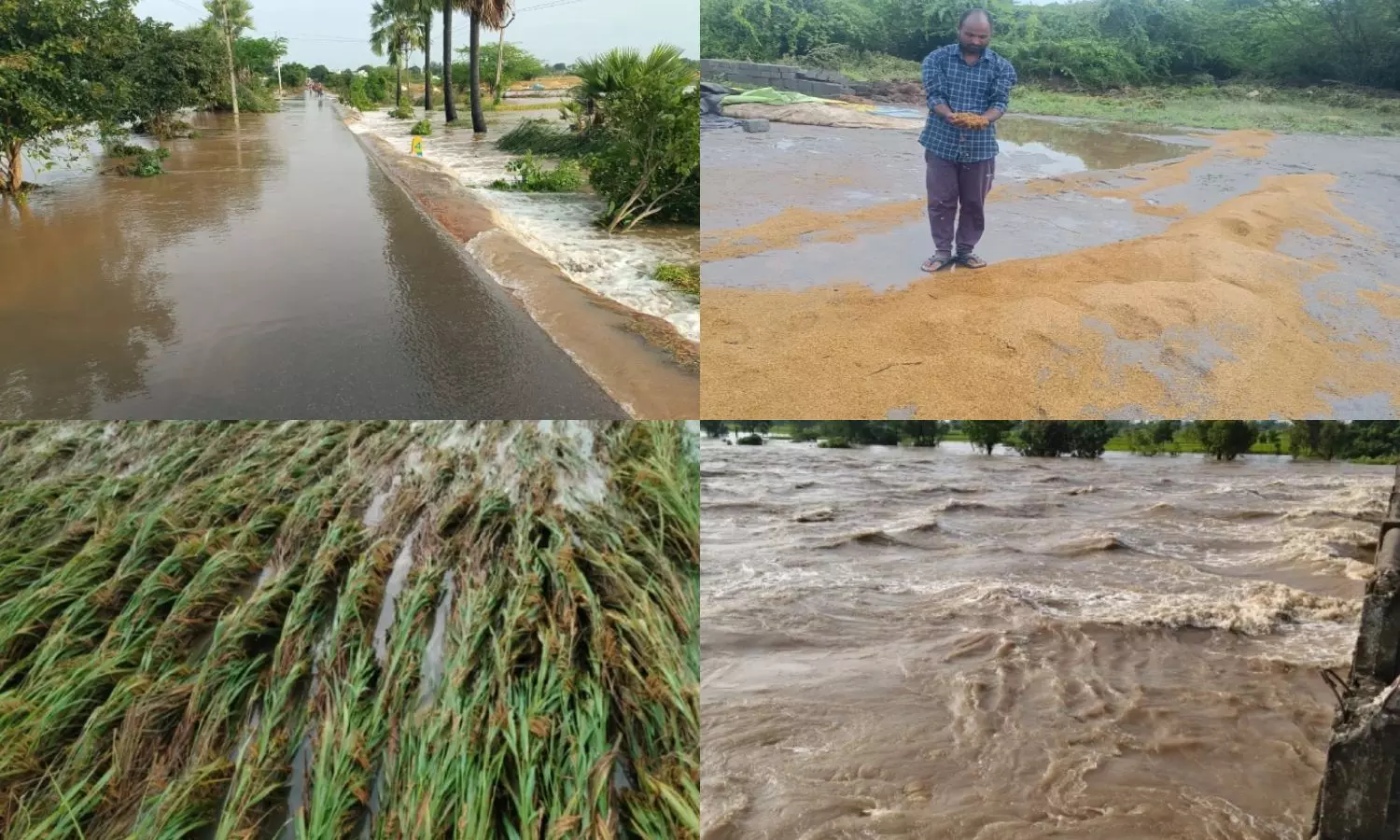 Warangal: జలదిగ్బంధంలో వరంగల్‌.. చెరువులను తలపిస్తున్న కాలనీలు