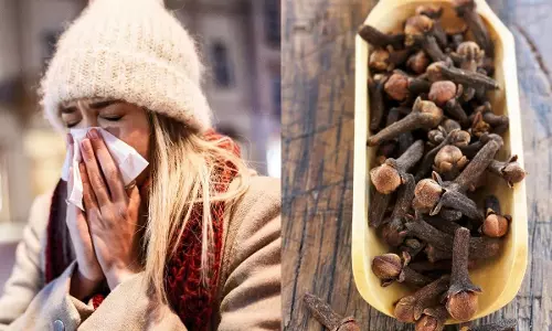 Cloves : దగ్గు, కఫానికి అమ్మమ్మల అద్భుత చిట్కా.. లవంగం ఇలా వాడితే తక్షణమే ఉపశమనం Cloves : దగ్గు, కఫానికి అమ్మమ్మల అద్భుత చిట్కా.. లవంగం ఇలా వాడితే తక్షణమే ఉపశమనం
