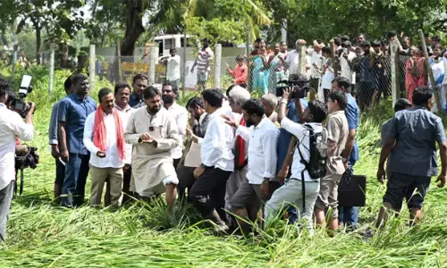 Pawan Kalyan: కోడూరులో పొలాలను పరిశీలించిన పవన్‌ కల్యాణ్‌