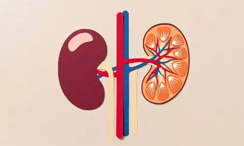 Single Kidney Single Kidney