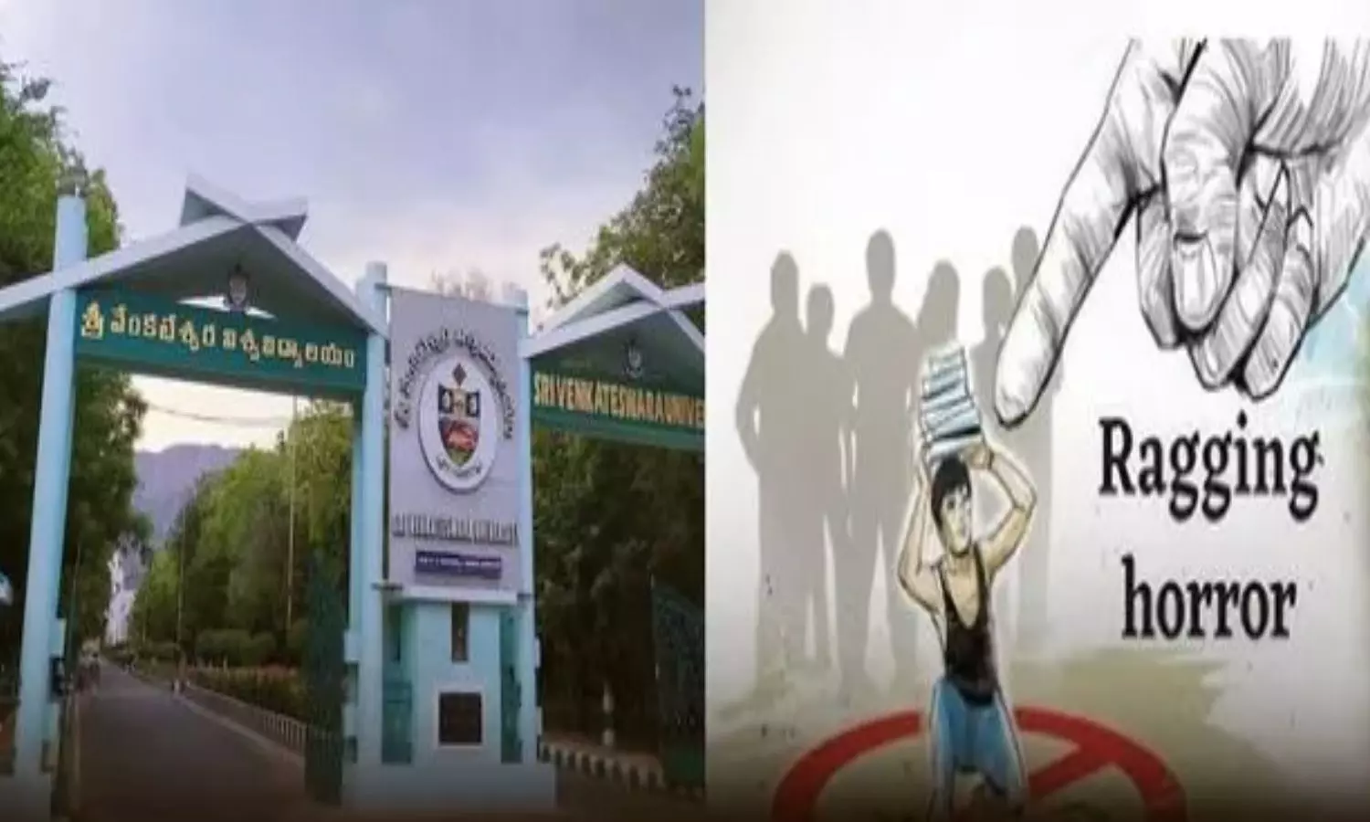 SV University: తిరుపతి ఎస్వీ యూనివర్శిటీలో ర్యాగింగ్ కలకలం