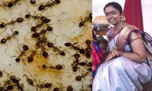 Ant Phobia: చీమల ఫోబియాతో ఆత్మహత్య చేసుకున్న మహిళ Ant Phobia: చీమల ఫోబియాతో ఆత్మహత్య చేసుకున్న మహిళ