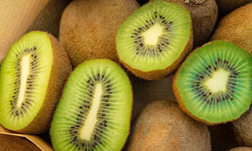Kiwi fruit : కివీ పండుతో జాగ్రత్త.. ఆరోగ్యం కోసమని ఎక్కువగా తింటే ఈ 5 సమస్యలు తప్పవు! Kiwi fruit : కివీ పండుతో జాగ్రత్త.. ఆరోగ్యం కోసమని ఎక్కువగా తింటే ఈ 5 సమస్యలు తప్పవు!