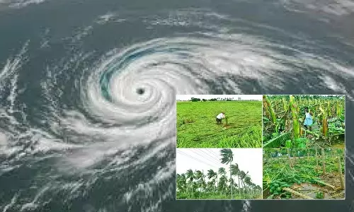 మెుంథా ఎఫెక్ట్.. నేడు, రేపు ఏపీలో కేంద్ర బృందం పర్యటన మెుంథా ఎఫెక్ట్.. నేడు, రేపు ఏపీలో కేంద్ర బృందం పర్యటన