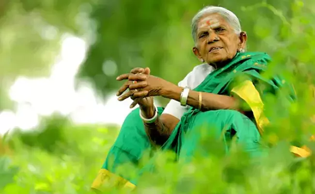 Saalumarada Thimmakka: వృక్షమాత సాలుమరద తిమ్మక్క కన్నుమూత
