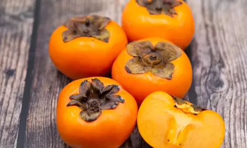 Persimmons : టమాటో ఆకారంలో ఉన్న పండు.. పర్సిమన్ తినడానికి 5 ప్రధాన కారణాలివే Persimmons : టమాటో ఆకారంలో ఉన్న పండు.. పర్సిమన్ తినడానికి 5 ప్రధాన కారణాలివే