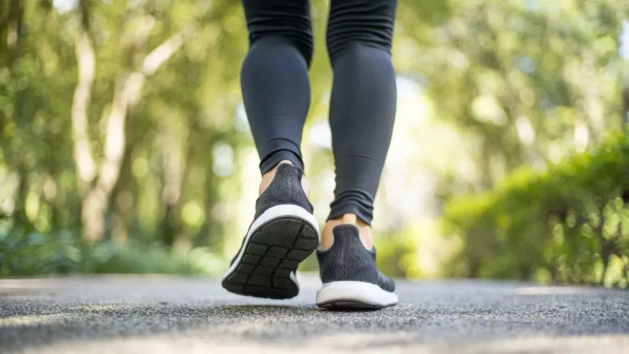 Walk 10,000 Steps : రోజుకు 10,000 అడుగులు నడిచే వారికి ఈ విషయం తెలియాల్సిందే Walk 10,000 Steps : రోజుకు 10,000 అడుగులు నడిచే వారికి ఈ విషయం తెలియాల్సిందే