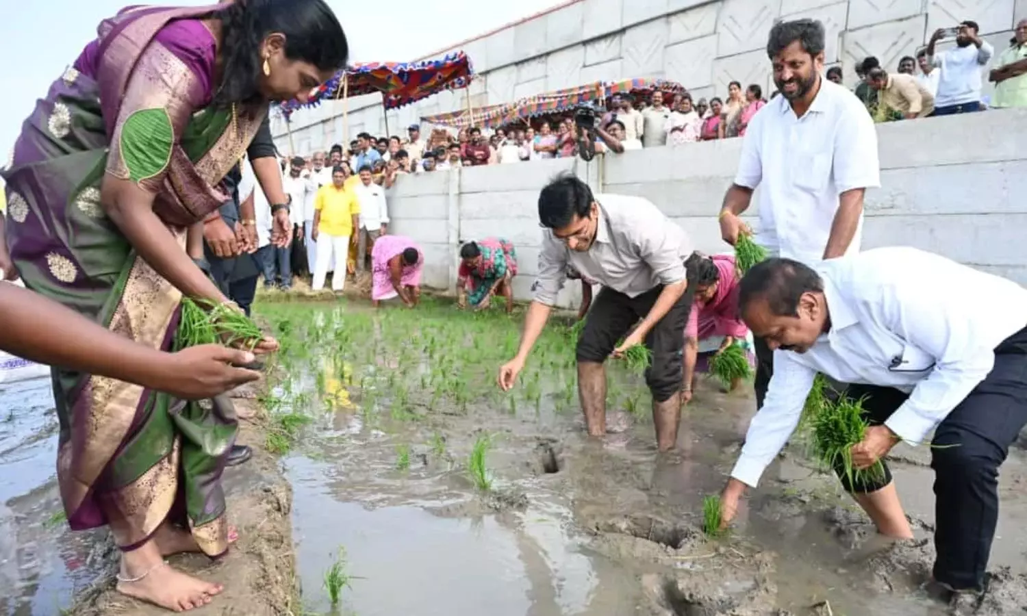 డాక్టర్లైన కలెక్టర్, ఎమ్మెల్యే.. వృత్తి హోదాలెన్ని ఉన్నా.. రైతుతో కలిసి పొలంలో వరి నాట్లు! డాక్టర్లైన కలెక్టర్, ఎమ్మెల్యే.. వృత్తి హోదాలెన్ని ఉన్నా.. రైతుతో కలిసి పొలంలో వరి నాట్లు!